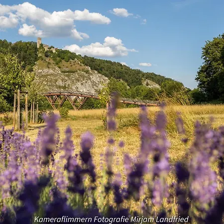 Elip Lejlighed Essing